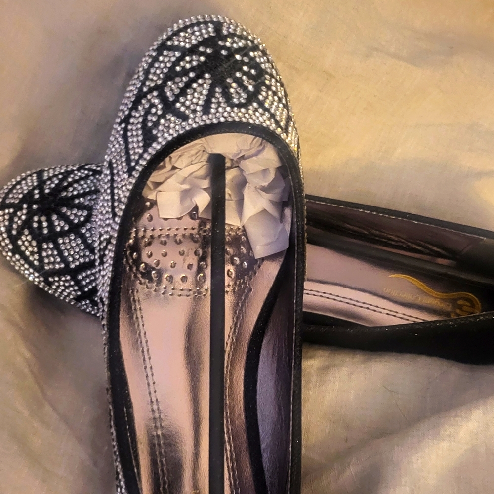 Beautiful Ballet flats